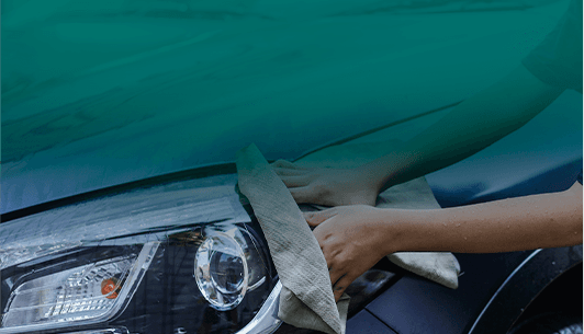 Manutenção e Limpeza